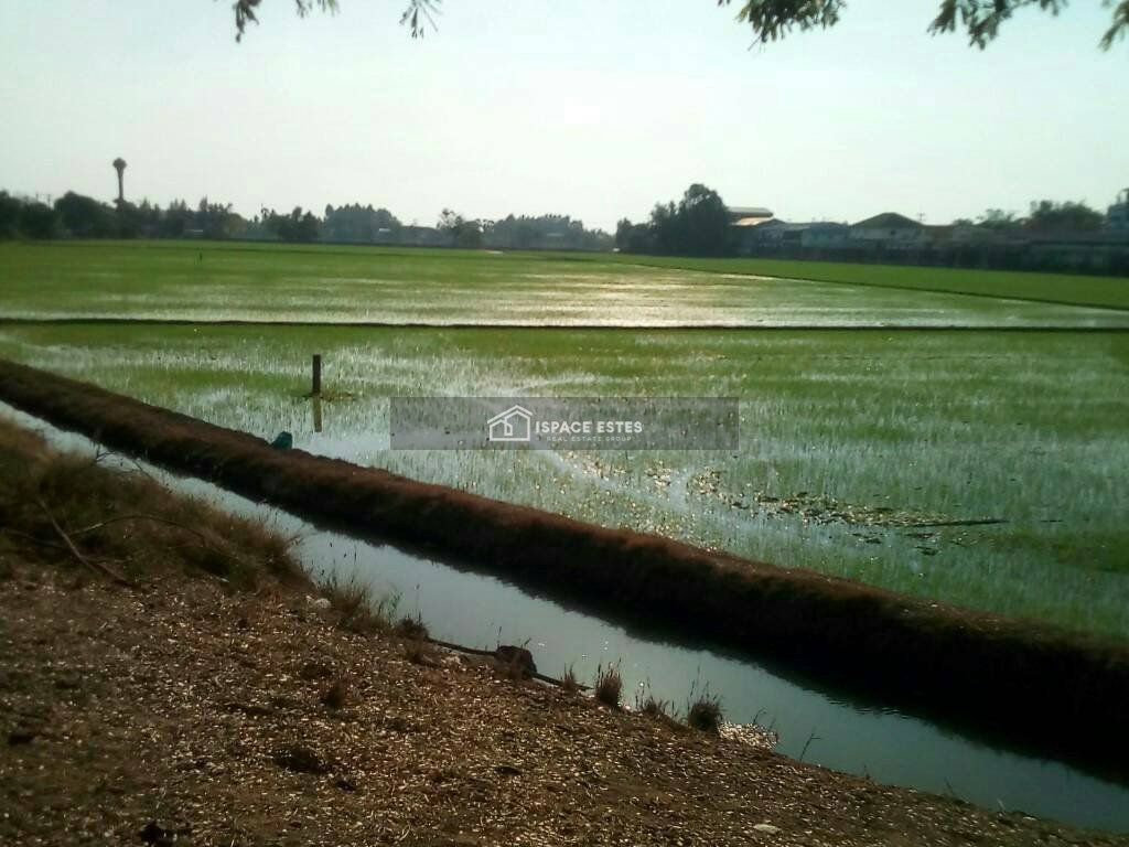 ขายที่ดิน 30-3-59.6 ไร่ อ.สามโคก ต.ท้ายเกาะ จ.ปทุมธานี ติดถนนใหญ่  3111 ปทุมธานี-สามโคก-เสนา ที่ดินแปลงสวย เหมาะทำการลงทุน สร้างโรงงาน โกดัง ฯลฯ