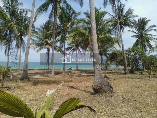 ขายที่ดินติดทะเล 6-2-6 ไร่ หาดทุ่งใส อ.สิชล จ.นครศรีธรรมราช ติดกับทางไปขนอม-สิชล ทางขึ้นไปเขาพรายดำ