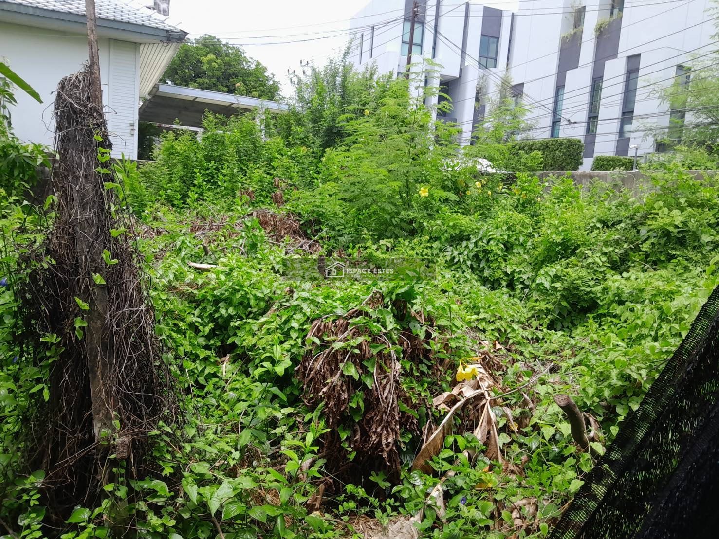 ขายที่ดินเปล่า 33 ตร.ว ซอยวชิรธรรมสาธิต 58 สุขุมวิท 101/1 ใกล้ BTS ปุณณวิถี เหมาะสำหรับปลูกบ้าน โฮมออฟฟิศ หรือไว้ลงทุน