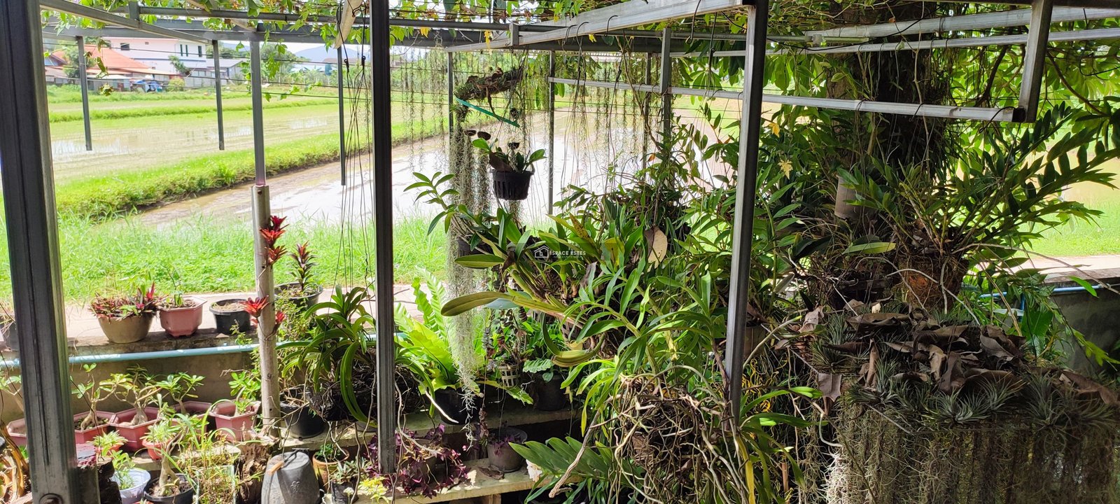 ขายบ้านพร้อมที่ดิน 1-2-29.7 ไร่ ติดถนนใหญ่พหลโยธิน บ้านต้นยาง ต.บัวสลี อ.แม่ลาว จ.เชียงราย